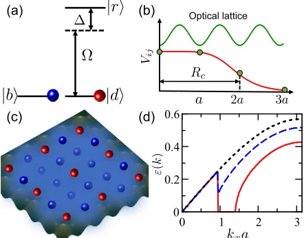 FIG. 1. (Color online) (a) Two electronic ground states |(blue) andAn oﬀ-resonant laser (with Rabi frequency Ω and detuning ∆)weakly couples the statedressed statethe lattice spacingthe bare state when dressed atoms are in an ordered densitywave (DW)