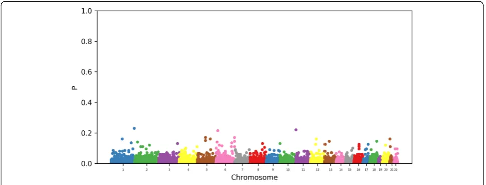 Fig. 2 Probability that a SNP is selected in the genome-wide model