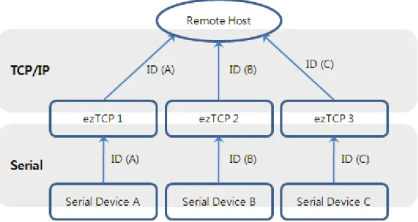Fig 1-1 Using unique ID for serial devices 