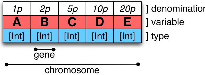 Figure 4.3: The construction of the chromosome to represent solutions to the coinproblem.