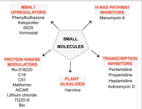 FigURe 1 | Small molecule compounds alleviating myotonic dystrophy type 1 (DM1) pathogenesis