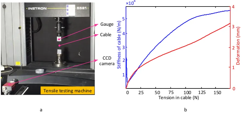 Figure 6. Example of tension testing experiment and tendon stiffness. a) the tendon is tested in the tensile testing machine; b) the stiffness and deformation of the tendon (blue line and red line respectively) with the relation of tension