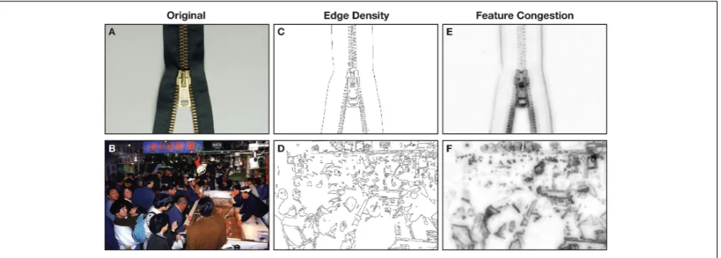 FIGURE 1 | Example pictures shown to participants as exemplars oftwo pictures. (A) low visual complexity and (B) high visual complexity