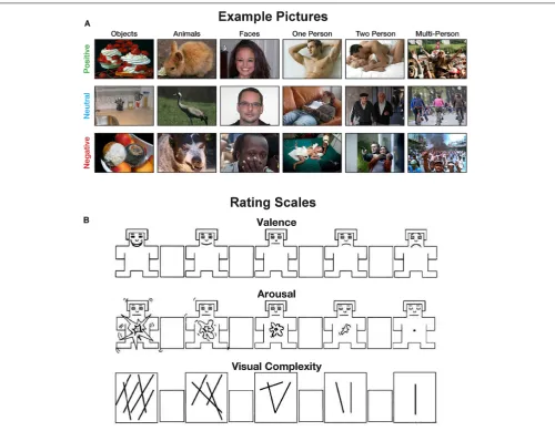 FIGURE 2 | Examples of the experimental methods. (A) Example pictures used in the experiments