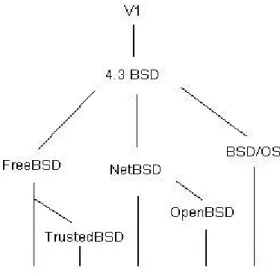 Figure 1.1: The BSD hierarchy.