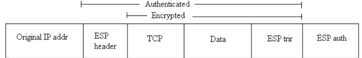 Figure 2.11: ESP with the use of encryption and authentication (Transport Mode)