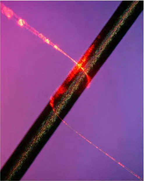 Figure 2.1: Optical Microscope Image of 500-Nm-Diameter Silica MNF Guiding 