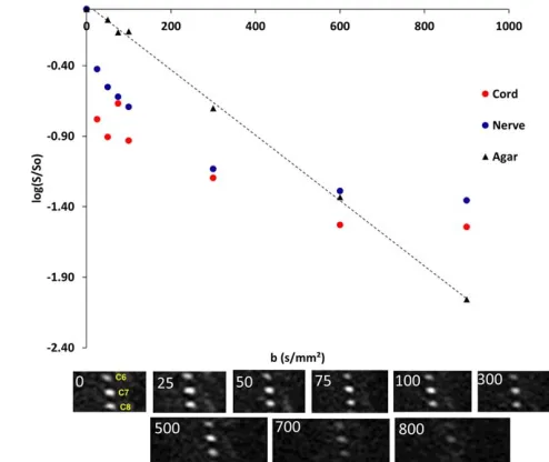 FIG. 4. Example IVIM plots for brachial plexus nerves, cord, andagar phantom. Agar phantom (black) shows a linear change withb-values because there is no IVIM effect