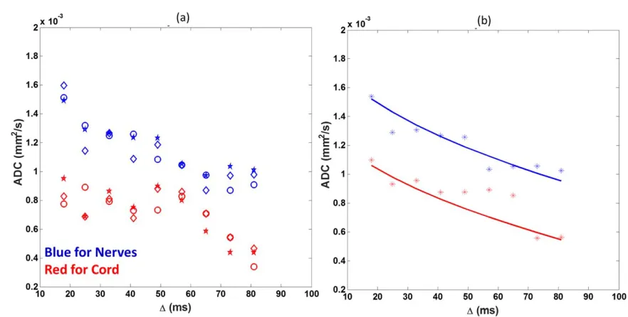 FIG. 5. Measured variation in ADC with Dtion superimposed. for nerves and cord of the brachial plexus for (a) subject 1 with each repeat of the measure-ment being indicated by a different marker