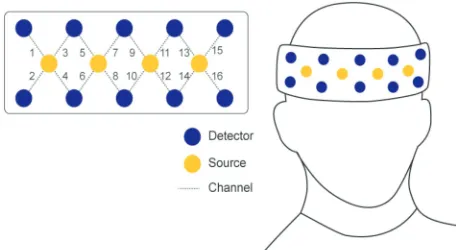 Fig. 3. Sensor layout for the Biopac fNIRS used.