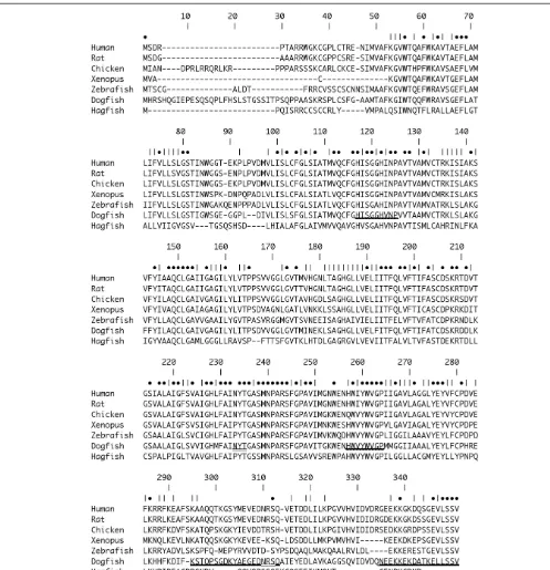 FIGURE 1 | Alignment of Dogﬁsh AQP4 [Accession number (Ac. No.)JF944824] amino acid sequence with AQP4 sequences from HumanAc
