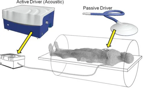 Figure 5: Illustration of a pneumatic driver system for clinical hepatic MRE. The source of 