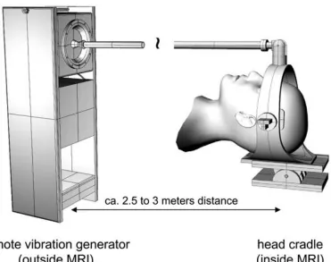 Figure 6: Head actuator used for stimulating low-frequency shear vibrations in the brain