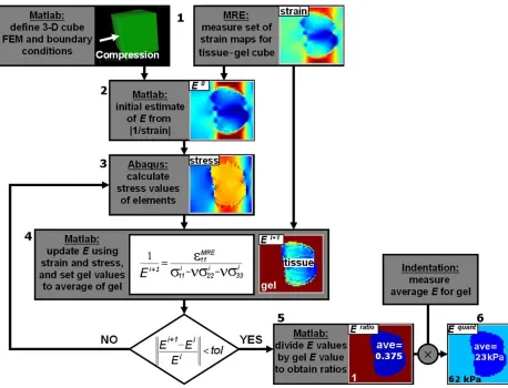 Figure 10. FEM iterative inversion algorithm for Quasi-static MRE (showing data from a 