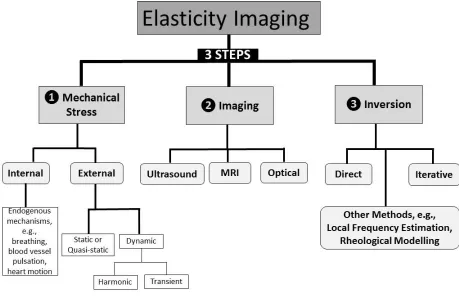 Figure 1: Flowchart of elasticity imaging methodological steps and subcategories 