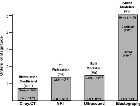 Figure 2: Imaging modality contrast mechanisms. Examples of different imaging modalities and 