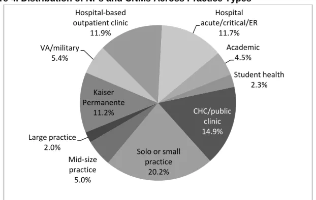 Figure 4. Distribution of NPs and CNMs Across Practice Types 