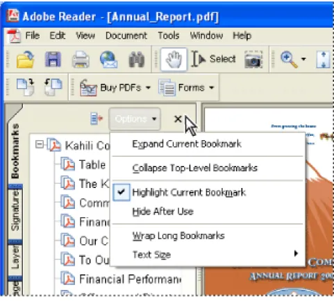 Tabs display such items as a document's bookmarks, page thumbnails, and articles. Tabs  are displayed in the navigation pane on the left side of the work area or in floating panels.