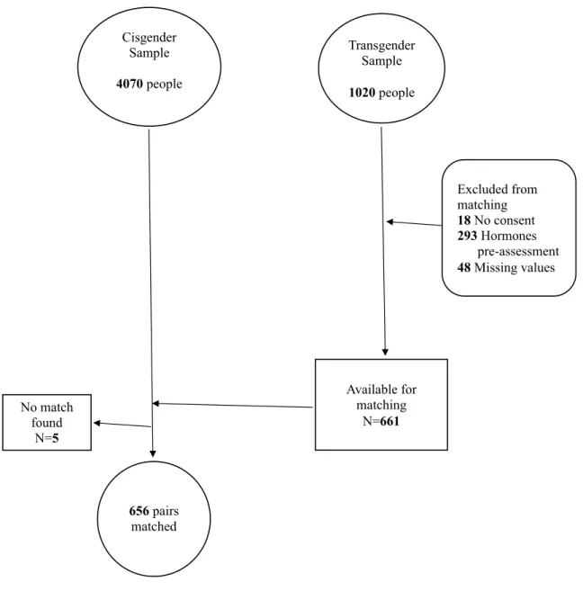 Fig. 1    Flow chart of exclusion and matching procedures