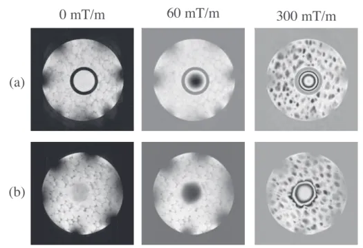 FIG. 5. Phased flow images as a function of the applied field gradient q (a) in the absence of the fluid momentum transport across the interface (the rigid tube is inserted into the channel) and (b) with the momentum transport across the interface (the rig