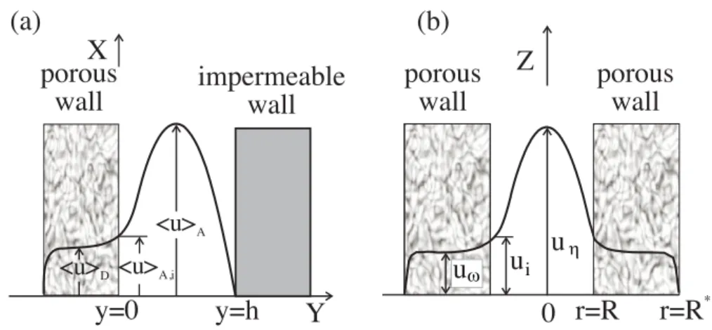 FIG. 1. Diagrams and relevant definitions describing (a) one-dimensional fluid flow and (b) in flow plane cross section of a fully developed axially symmetric fluid flow in a porous medium with a model sample geometry