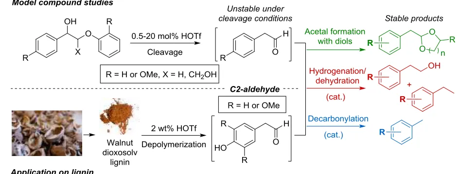 Figure 2. Overview of the work presented in this manuscript showing the C2-aldehydes targeted for stabilization 