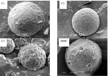 Figure 7: Microstructure of the bolus droplet surfaces imaged with cryo-SEM. The scale bar in each imagecorresponds to 5 m.