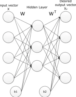 Figure 2. A sparse auto-encoder network with a sparse representation on the hidden layer