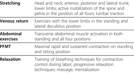 Table 1 Short description of the BPP exercises