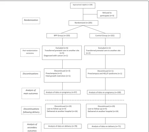 Figure 1 Flowchart of the allocation and follow-up of the participants in the study.