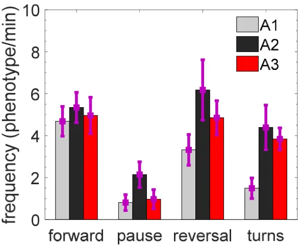 Figure 6. Behavioral phenotyping of C. elegans in pillar arenas with different confinements