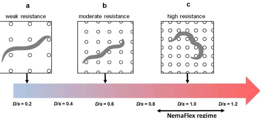Figure 7. Schematic illustrating the effect of animal confinement on mechanical resistance and force generation in pillar environments