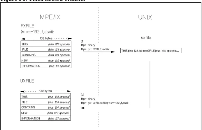 Figure 6-3. Fixed Record Transfer