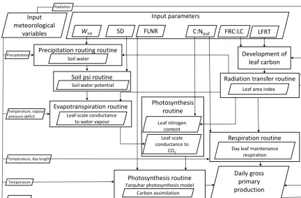 Figure 7. The Biome-BGC internal routines that simulate GPP, controlled by the meteorological data and the six calibrated parameters.Rectangular boxes represent the Biome-BGC routines and the parallelograms represent the input and output of the routine