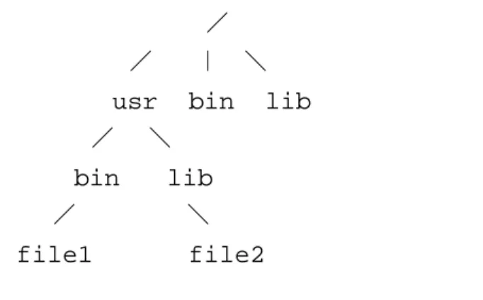 FIGURE 2. UNIX Directory Structure
