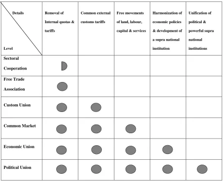 Table 3.1: Different Levels of Regional Integration 