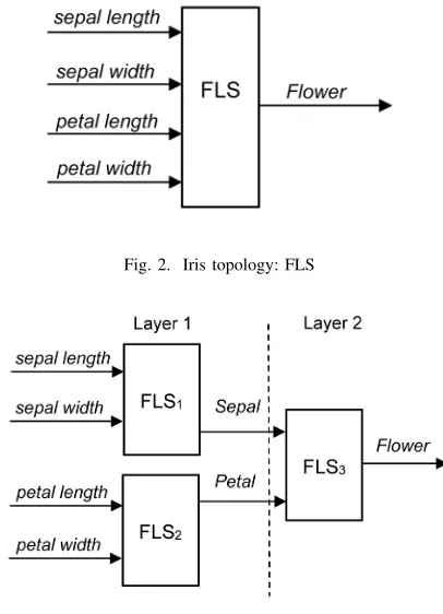 Fig. 2. Iris topology: FLS
