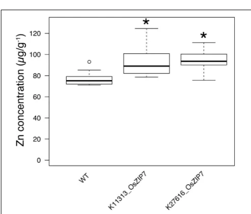 FIGURE 1 | Ionomics proﬁling of rice FOX lines. Heatmap fold change values (on base 2 logarithm) using a color gradient from blue (low values) to yellow (highvalues) for each line in comparison to Col-0