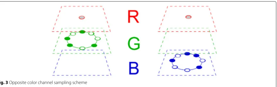 Fig. 3 Opposite color channel sampling scheme