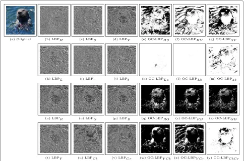 Fig. 4 Original image and its output maps, computed using the OC-LBP descriptor computed in HSV (b–g), Lab (h–m), RGB (n–s), and YCbCr (t–y)color spaces