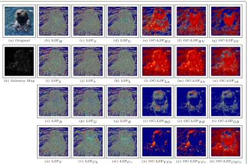 Fig. 6 Reference image, its impaired versions, and their respective LBP and LVP maps