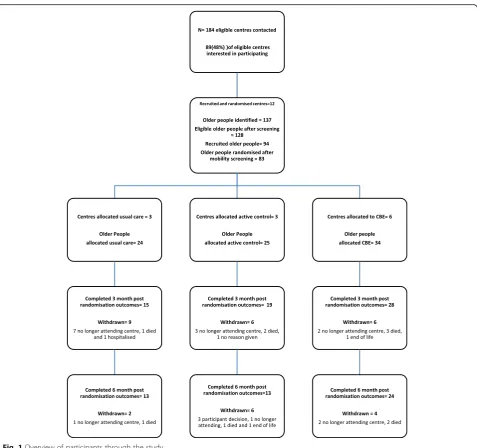 Fig. 1 Overview of participants through the study