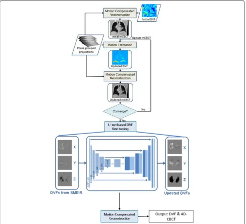 Fig. 4 Workflow of the SMEIR-Unet algorithm. Instead of feeding the DVFs into biomechanical modeling, SMEIR-Unet applies a U-net-basedconvolutional neural network to directly correct the output 2D-3D DVFs to boost their intra-lung accuracy