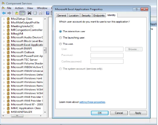 Figure 2: Microsoft Excel Application Properties 
