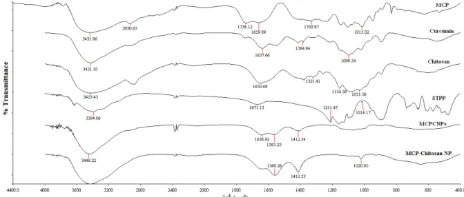 Figure 3: FT-IR spectra of chitosan , STPP , MCP, curcumin, MCP-chitosan nanoparticles  and MCPCNPs
