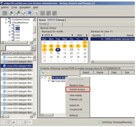 Figure 6: Avamar Administrator UI Instant Access Option 