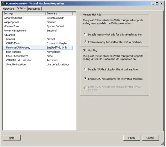 Figure 4. Virtual Machine Properties Options Tab 
