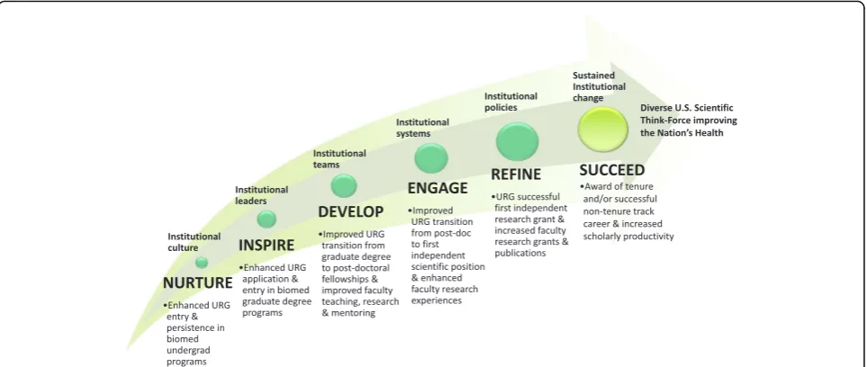 Fig. 1 Diversity Program Consortium Arc of Success for biomedical research