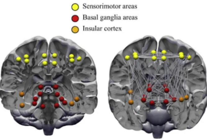 Fig. 1 e Regions of interests (ROIs) used in the probabilistic tractography analysis. ROIs were represented as nodes in a graph theoretical analysis
