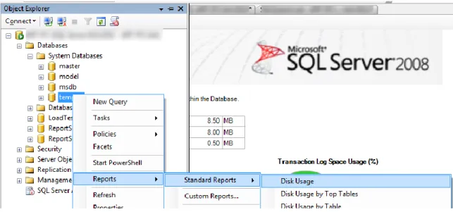 Figure 10 - Disk Usage Report Shows the Current Size of tempdb 